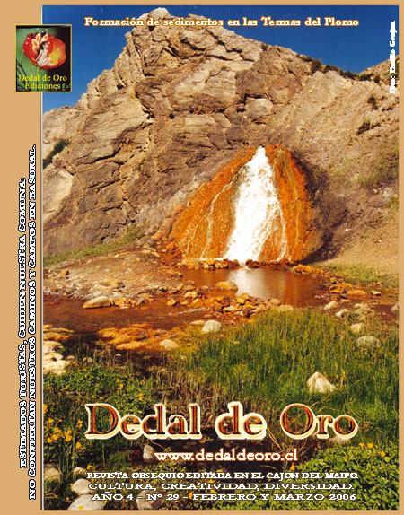 En nuestra portada del n&deg; 29, vemos  las lejanas y hermosas Termas del Plomo;  los sedimenmtos producidos por el gran contenido de sales minerales de sus aguas, se acumulan y ti&ntilde;en con un colorido espectacular las rocas por donde manan. La Fotograf&iacute;a es una colaboraci&oacute;n de Emilio Goujon.