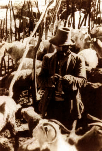 Arriero Salvador Gárate. Majada de cabras. 1936.