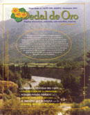 Un trozo del Cajón del Maipo en el que se ve que lo forman río y montañas.