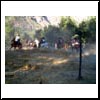 En "El Toyo", con las mujeres al anca se dan las &uacute;ltimas vueltas para terminar con la trilla y comenzar con la fiesta de campo para celebrar que se ha cumplido con esta tarea y nuestra tradici&oacute;n.