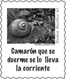 Numen Buc&oacute;lico N&ordm; 62.