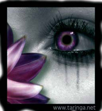 Ojoy Flor