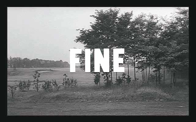 FIN
