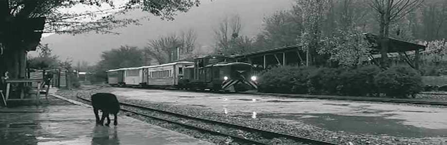 Tren en la estación