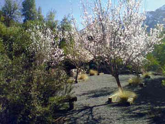 JARDÍN SUSTENTABLE
