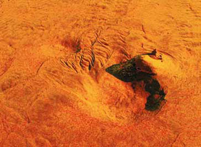imagen de la serie ''color''