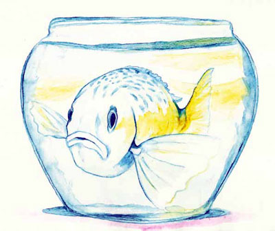 Ilustración de una pescera