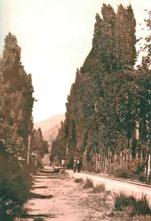 ALAMEDA JUNTO A LA VÍA FÉRREA EN LA CALLE DE LA LÍNEA