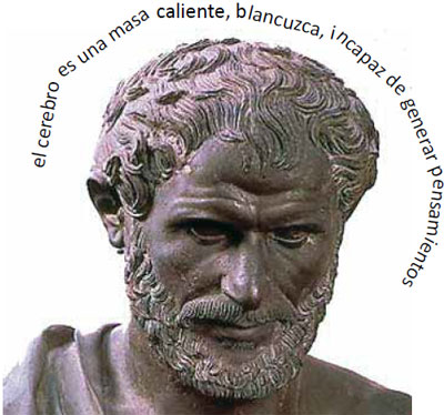 Busto de Aristóteles.