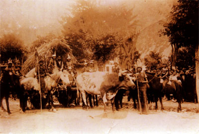 Comparsa de una de las candidatas a Reina de la Primavera, con disfraces.