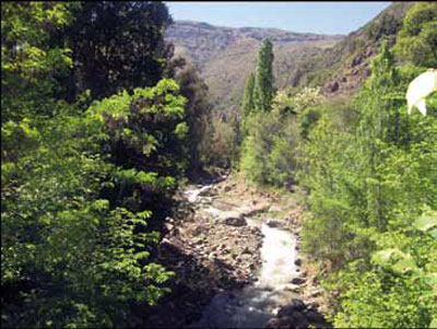 Estero San José, parte más ancha del valle, vista oriente, a sus orígenes