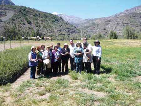 Visita de diez representantes de la Junta de Vecinos de San José Centro.