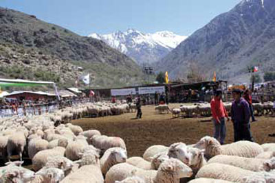 Corrales de El Relvo.