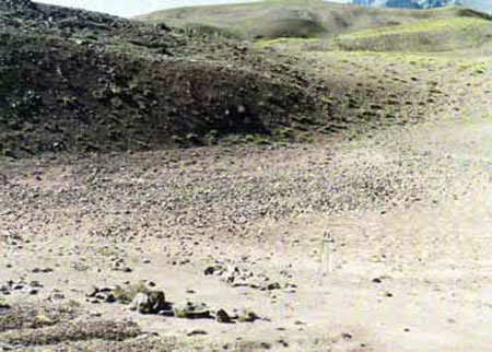 Pircado hecho en 1975 y fotografiado en 2014, casi 40 años después.