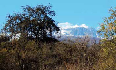 Paisaje del entorno de '' Fuego El Temple''.