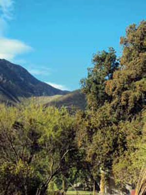 Otro paisaje del entorno de '' Fuego El Temple''.