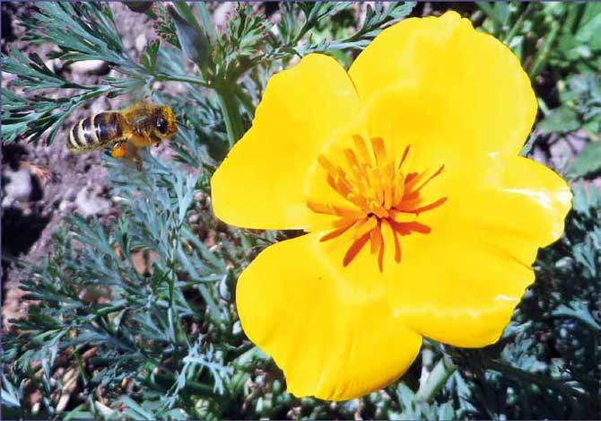 San Jos&eacute; de Maipo, saliendo del pueblo hacia Santiago, jueves 12 junio 2014
