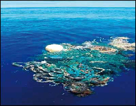 Acumulaci&oacute;n de bolsas pl&aacute;sticas en el mar.