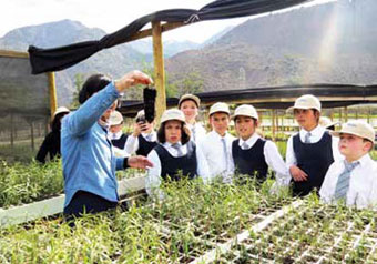 Las visitas al vivero est&aacute;n abiertas para los escolares.