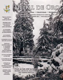 Tapa del N&deg; 65. : Plaza de San Jos&eacute; de Maipo, invierno, siglo pasado.