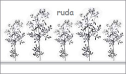 Ruda